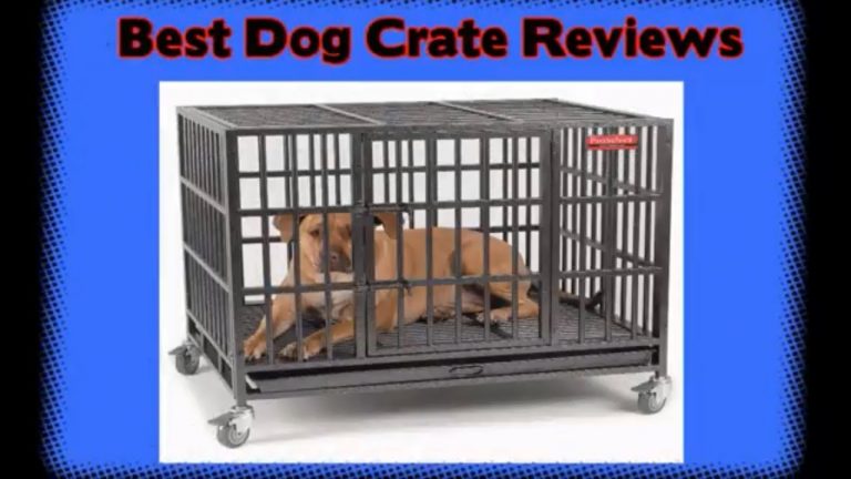 proselect empire dog cage large