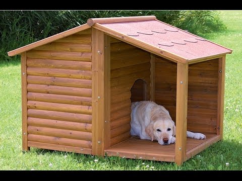 dog house for 2 large dogs