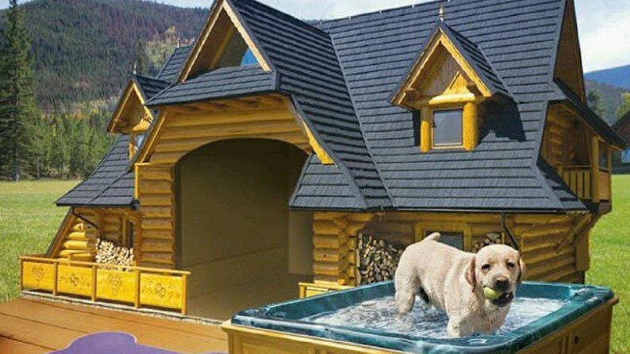 top 10 house dogs