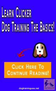 clicker dog training